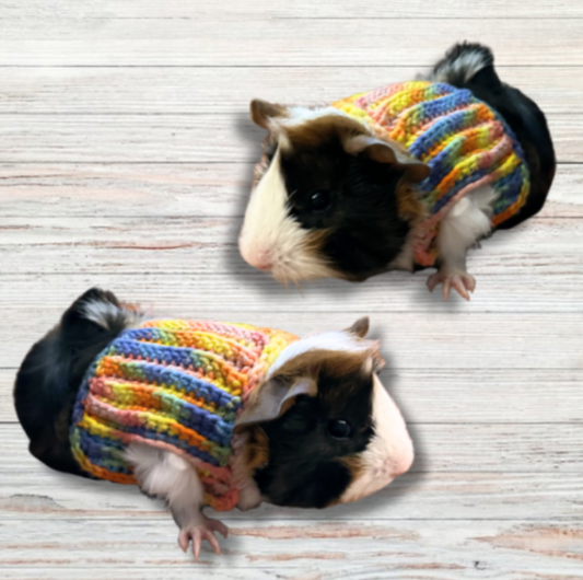 Guinea Pig Sweater Vest